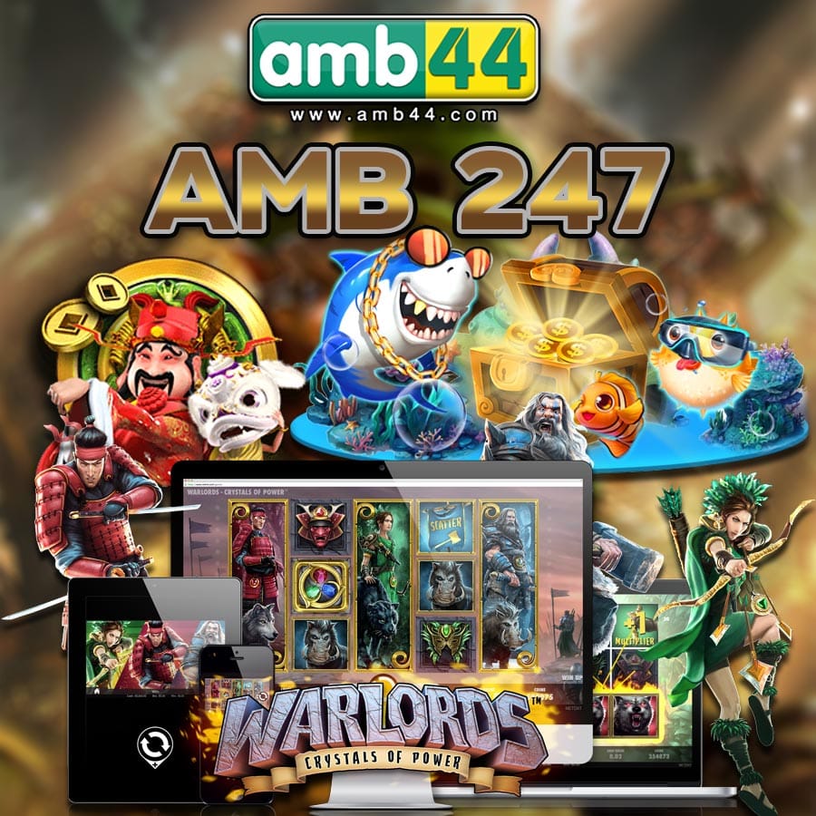 AMB 247