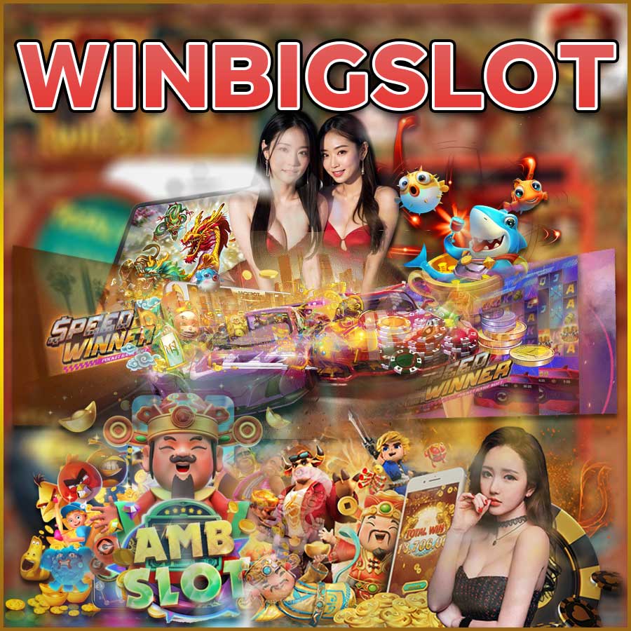 WINBIGSLOT